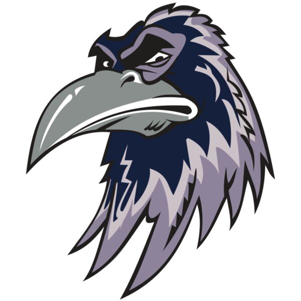 RAVEN HD0501 RQC Thumbnail